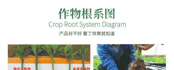 農(nóng)夫稼園生物技術有限公司2_12