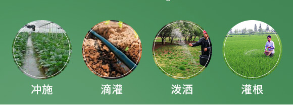 農(nóng)夫稼園生物技術有限公司2_10