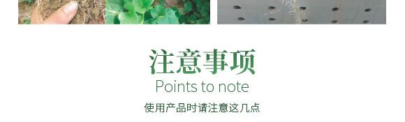 農(nóng)夫稼園生物技術有限公司2_14