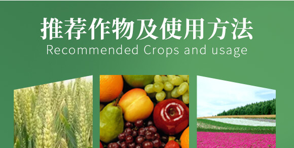 農(nóng)夫稼園生物技術有限公司2_08