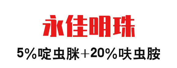 5%x(chng)+20%߻x(chng)--֮_01