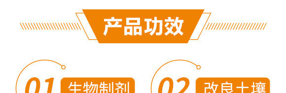 ׷ʽ(dng)-ֲ(lin)_05