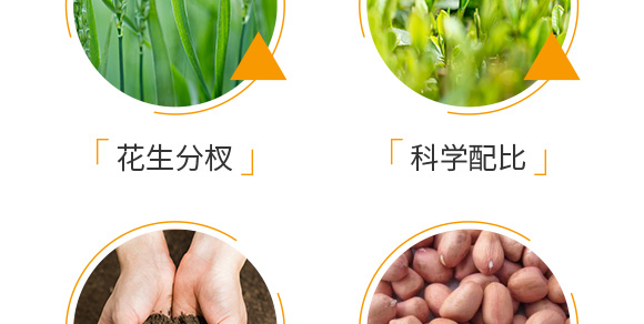 ٻᘷ辄-ؔ(ci)-G_06