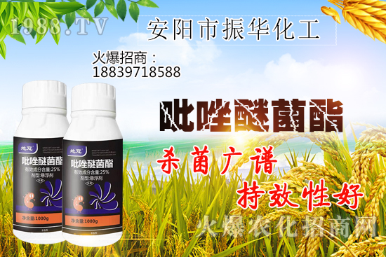 黃瓜白粉病危害有哪些,黃瓜白粉病怎么治?該打什么農藥?