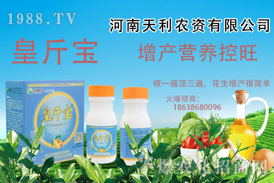 花生施肥常見問(wèn)題有哪些?花生需肥規(guī)律及施肥方案講解!