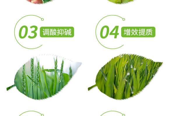 礦源黃腐酸鉀-黑色革命-愛農(nóng)斯達_05