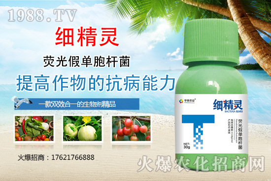 細菌性病害危害癥狀有哪些?細菌性病害防治藥劑推薦!