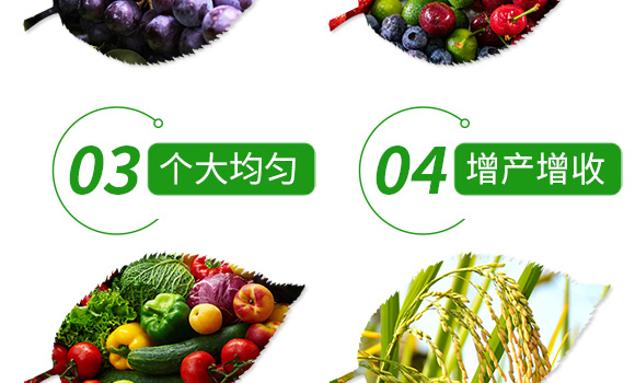 花椒催花保果(50g)-椒滿(mǎn)多-施多收_07