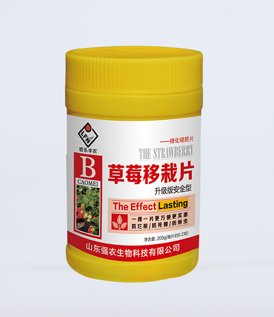 草莓1