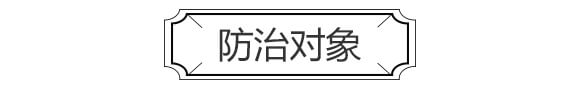 哈茨木霉·枯草芽孢桿菌-潰瘍速清-衡多豐_04