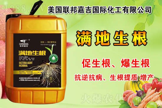 聯邦嘉吉怎么樣,聯邦嘉吉有哪些特色?公司暢銷產品有哪些?