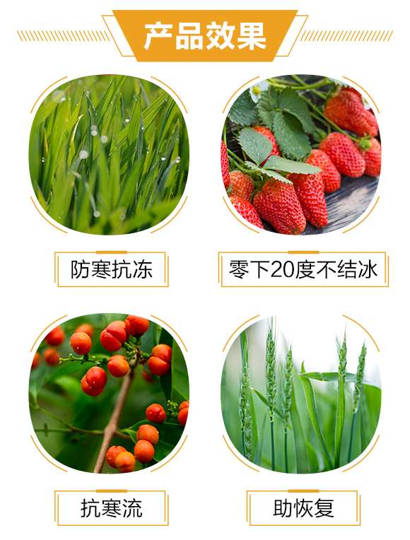河南一畫(huà)農(nóng)業(yè)科技有限公司2_03
