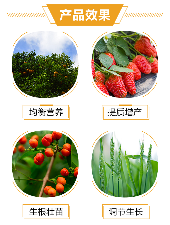 護果國際1_03