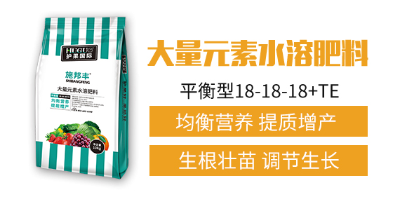 護果國際1_02