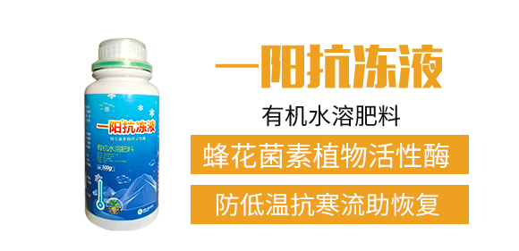 河南一畫(huà)農(nóng)業(yè)科技有限公司2_02