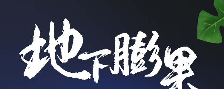 地下膨果_01