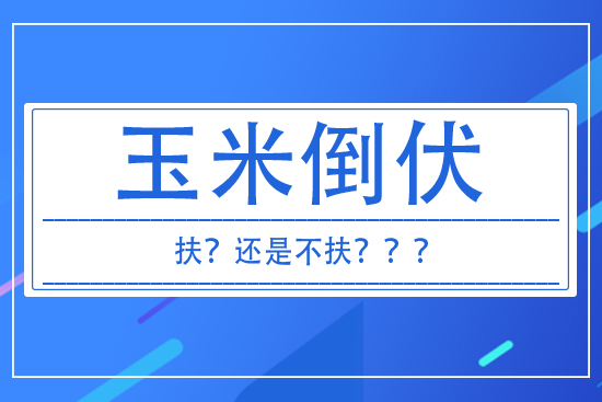 ׵׷ 𰸁(li)