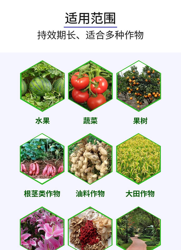 0-52-34-W(l)-(l)_05