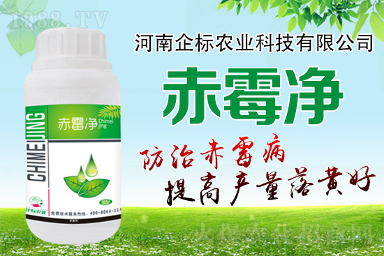 緊急提醒:未來(lái)十天是小麥赤霉病防治關(guān)鍵期!務(wù)必抓!