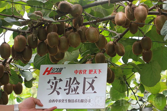 JcЩJôʩ
