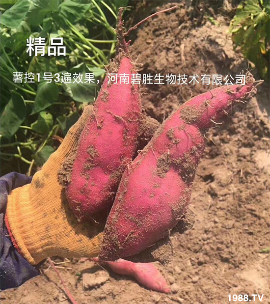 功能特點: