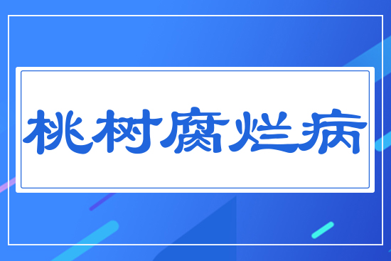 桃樹(shù)腐爛病