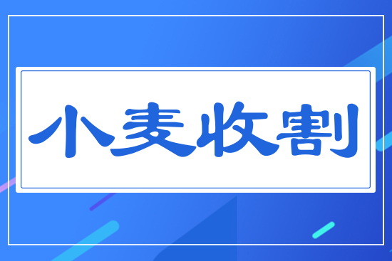 小麥收割