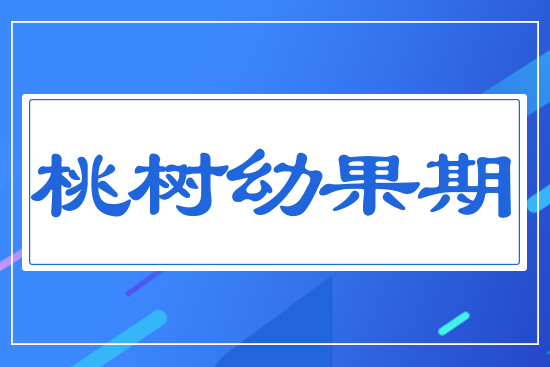 Ҙ(sh)׹
