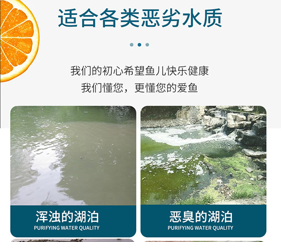 潤(rùn)派底改凈水劑-潤(rùn)派生物_03