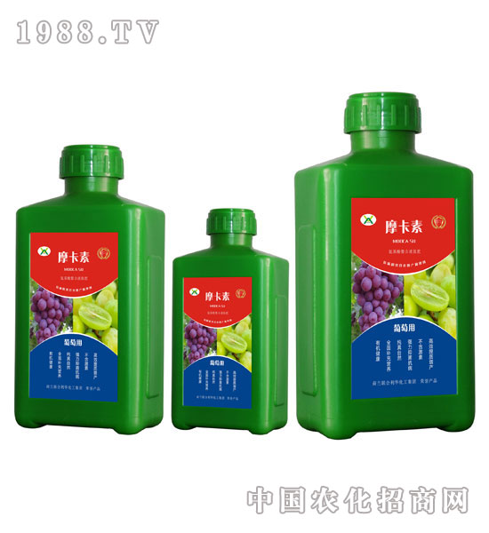 ьðҺķ-Ħ-(qing)о(gu)H