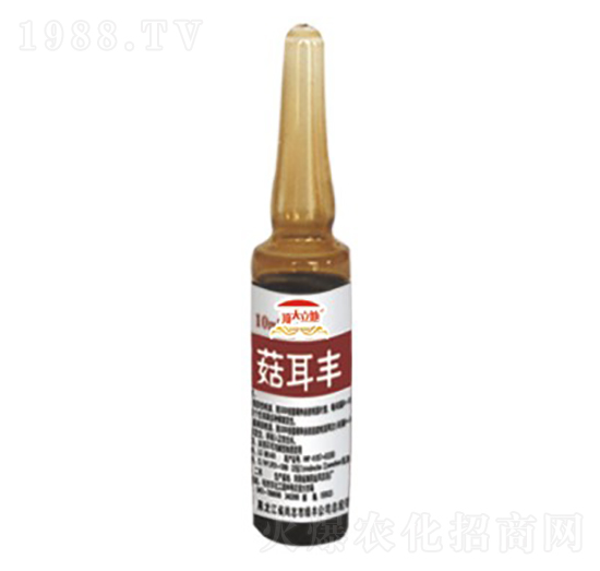 ʳþ(zhun)ùS--Gֲ