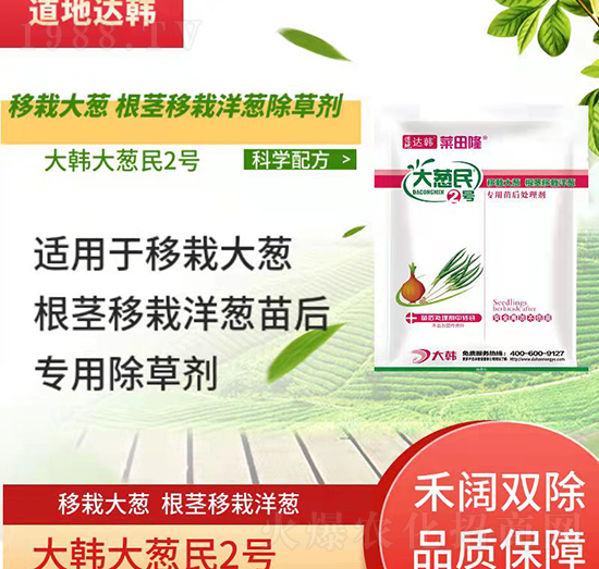 [[݄-[[-[[(zhun)-n