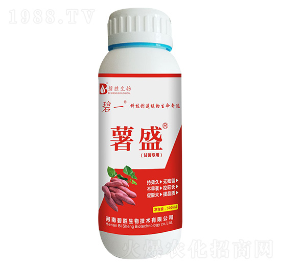 팣(zhun)÷ ʢ ̄