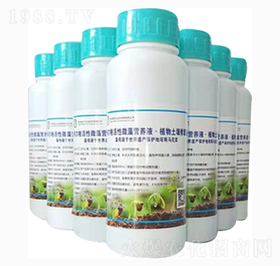 Сˮ(zhun)΢I(yng)B(yng)ҺҺ-