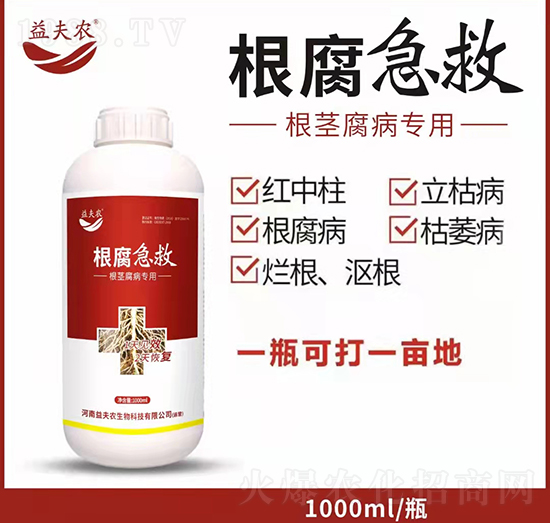 o(zhun)--r(nng)