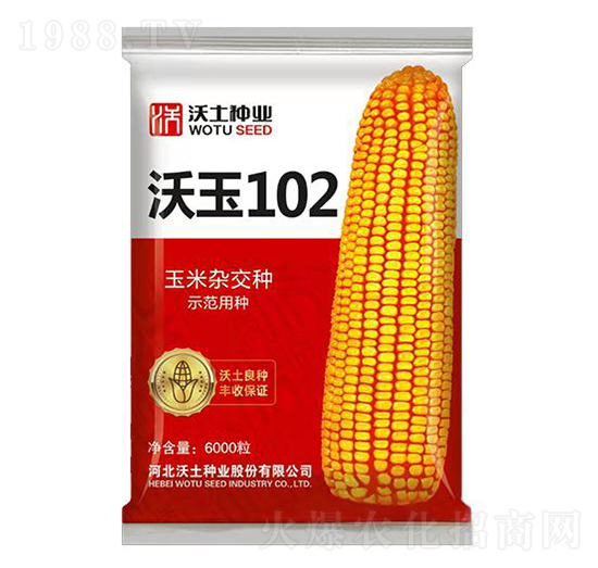 102-׷N-NI(y)