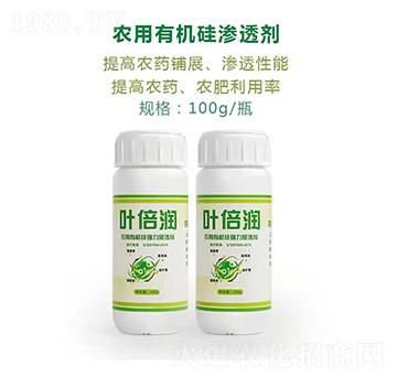 100gr(nng)ЙC菊չ?ji)B ~ h