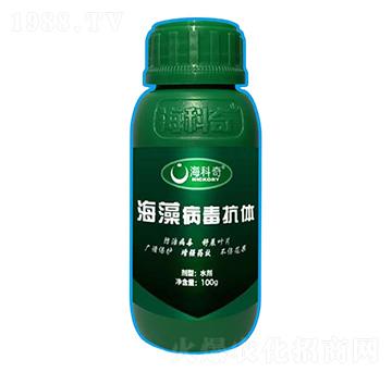 岡w-