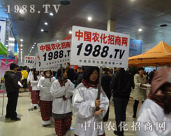 1988.TV(zhn)(hu)(chng)oֹ