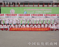 2013ϕϵ(zhn)ʿӢSˬ