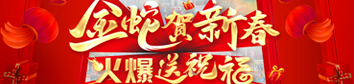 金蛇賀新春，火爆送祝福！