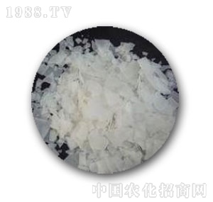 кW(xu)-99xĤƬ
