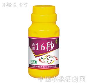 Z-x(chng)16
